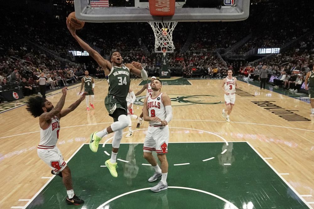 来自马来西 来自马来西